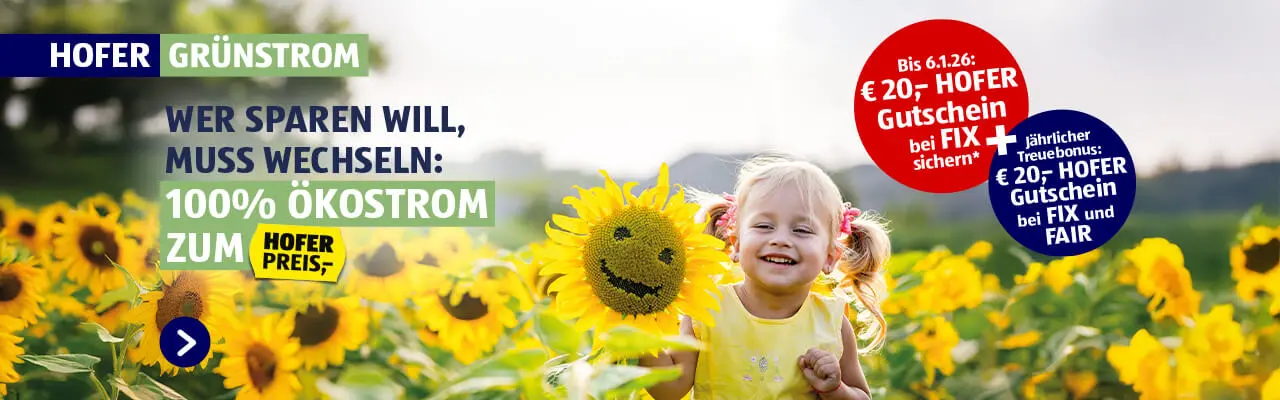 Wer sparen will muss wechseln: 100% ÖKOSTROM ZUM HOFER PREIS,-!